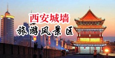 大鸡巴大奶摸奶叉叉好爽视频中国陕西-西安城墙旅游风景区